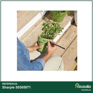 Sharpie caja 12 marcadores negros punta fina