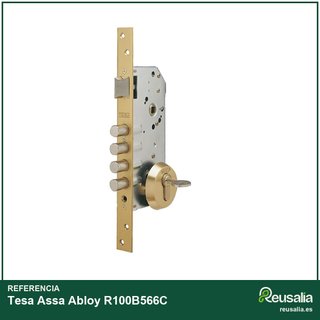 Tesa Assa Abloy R100B566C cerradura seguridad