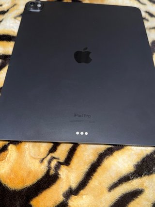 iPad Pro 13” M4 256 GB - Para piezas