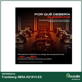 Frankberg 3M5A-R21813-ES cerradura puerta