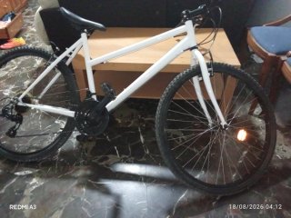 Bicicleta Blanca