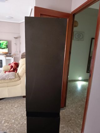 Altavoz Pioneer CS-055 Negro/Plata