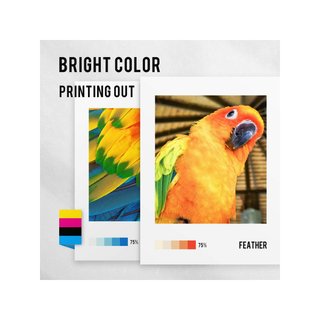 Cartuchos tinta compatibles HP 302XL color