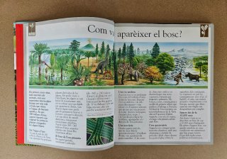 Libro infantil: El Bosc