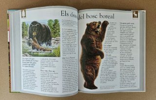 Libro infantil: El Bosc