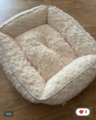 Transportín perro pequeño y cama beige