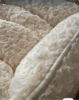 Transportín perro pequeño y cama beige