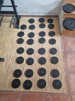 Gimnasio Completo: Mancuernas y Discos
