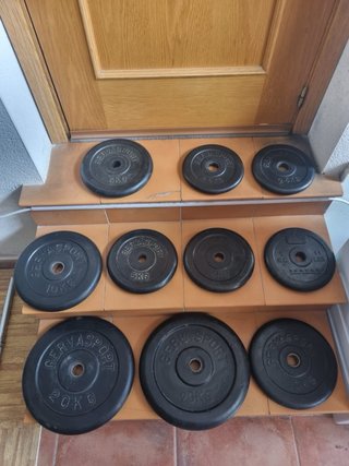 Gimnasio Completo: Mancuernas y Discos