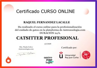 CATSITTER PROFESIONAL