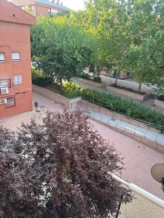 Piso