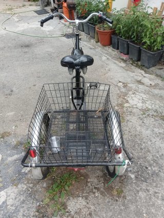 Triciclo Eléctrico Swing Elite