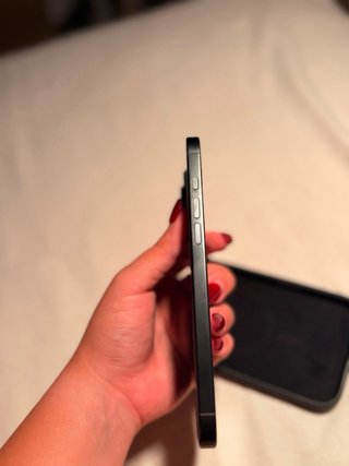 iPhone 16 Pro Max 256 GB-negro