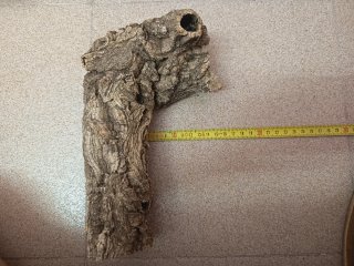 Trozo de corcho natural para terrario