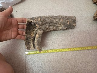 Trozo de corcho natural para terrario