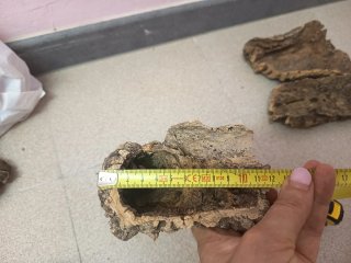Trozo de corcho natural para terrario