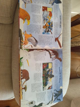 Animales fantásticos en 3D