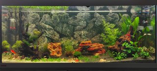 Acuario EHEIM VIVALINE 240L + Filtro JBL E902