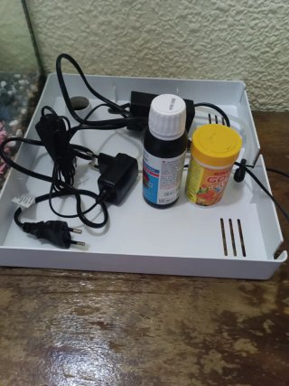 Acuario con accesorios