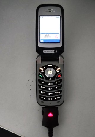 Samsung SGH-Z300 Cellulare con Caricabatterie