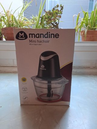 Mini picadora eléctrica Mandine 1L