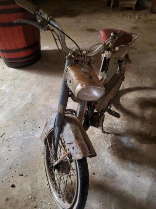 Moped 49cc