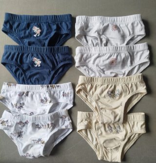Lote 8 Slip Zara Patrulla Canina T/3