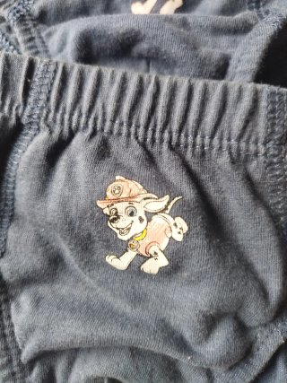 Lote 8 Slip Zara Patrulla Canina T/3