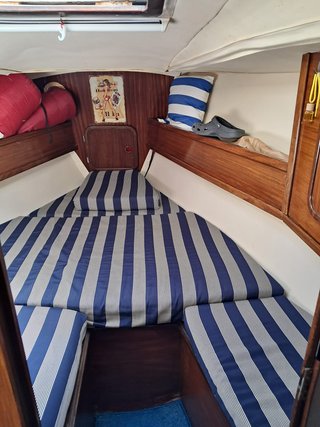 Velero Elan 33 en venta