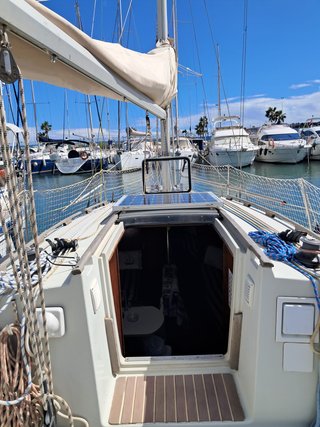 Velero Elan 33 en venta