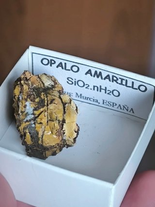 Ópalo Amarillo