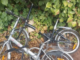 Lote 3 Bicicletas
