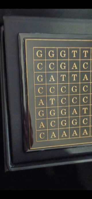 DNA YOUR ART® | Arte Genetico Personalizzato