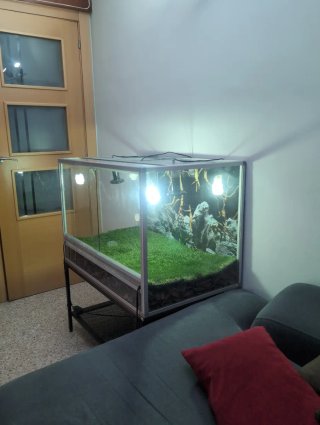 Terrario completo para reptiles con calefacción