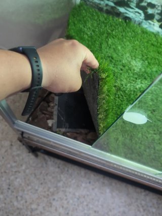 Terrario completo para reptiles con calefacción