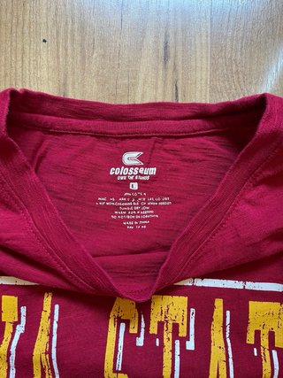 Maglietta Iowa State Bordeaux Uomo L USA Vintage