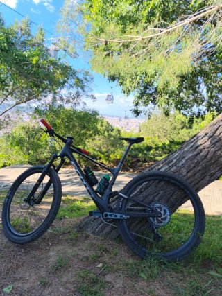 Scott Spark RC Team
