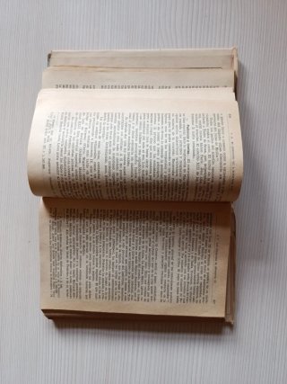Historia de la Iglesia católica. Edad Media