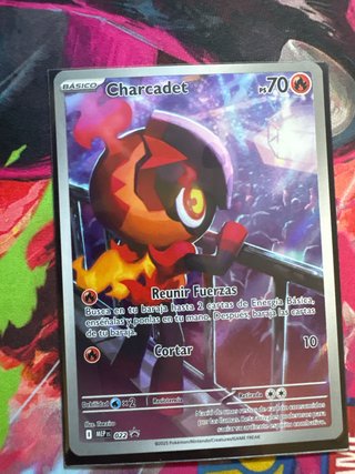 Charcadet 022