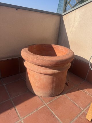 Maceta de terracota grande