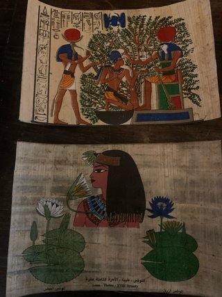 12 MINI PAPIROS