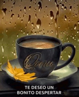 Extras de limpieza