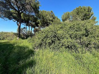 Terreno en venta en Oromana en Alcalá de Guadaira