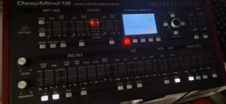 Behringer DeepMind 12D + Funda acolchada