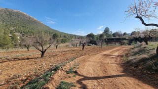 Terreno en venta en Bullas
