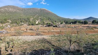Terreno en venta en Bullas