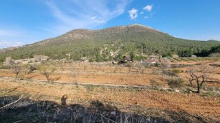 Terreno en venta en Bullas