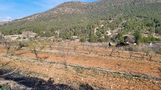 Terreno en venta en Bullas