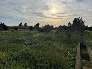 Terreno en venta en Beniaján en Murcia