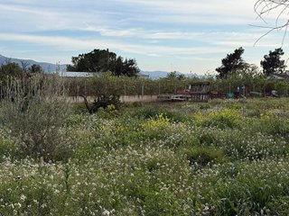 Terreno en venta en Beniaján en Murcia